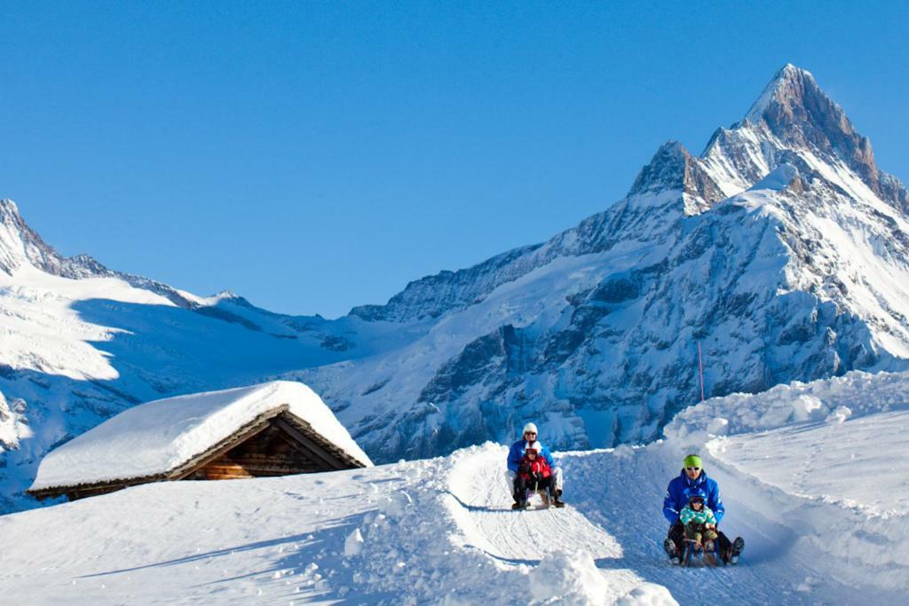 Wetterhorn, Eiger, Jungfrau, Amazing! Apartment Grindelwald Exterior foto